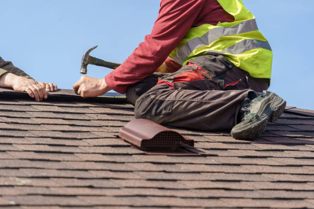 Best Shingle Roofing Installation  in West Glendive, MT