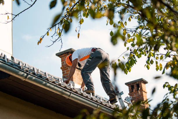 Best Metal Roofing Contractor  in West Glendive, MT