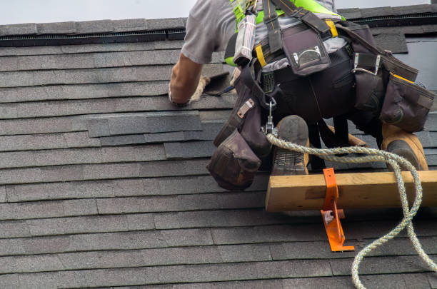 Best Storm Damage Roof Repair  in West Glendive, MT