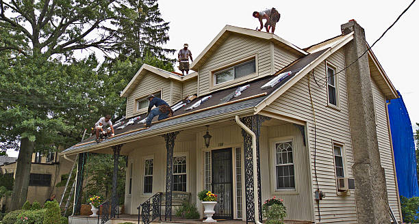 Best Flat Roof Repair Services  in West Glendive, MT