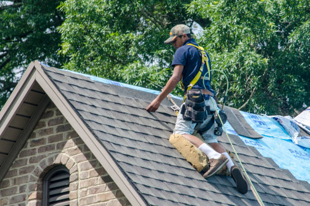 Best Roof Gutter Cleaning  in West Glendive, MT